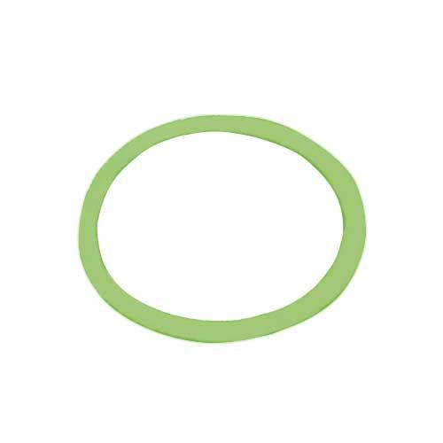 Vacuum Gasket